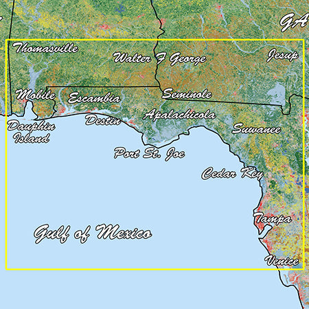 Garmin Emerald Coast Standard Mapping Professional - 010-C1191-00